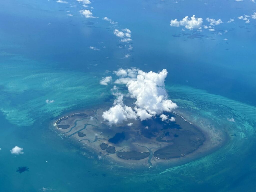 posicionar marca digital