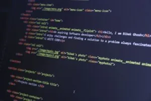 desarrollo web empresarial