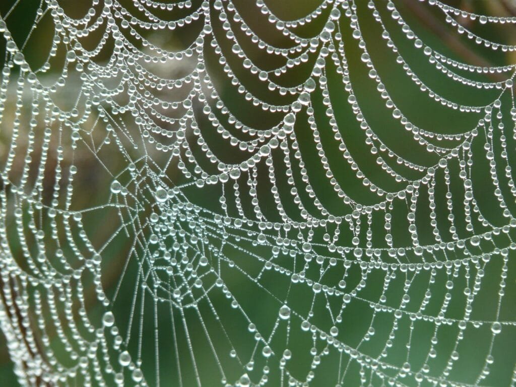 desarrollo web a medida